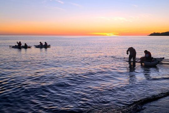 Sunset/Glow Clear Kayak Tour in Olowalu