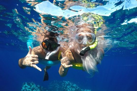 4 Hour Lanai Snorkel and Dolphin Tour from Lahaina