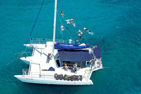 Diamond Head Sailing and Turtle Snorkeling tour in Waikiki