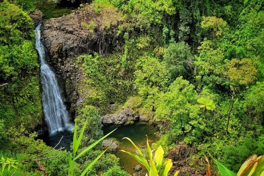 Hana Private Full Day Tour