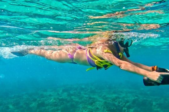 Jet Snorkeling in Turtle, Dolphin and Monk Seal Bay