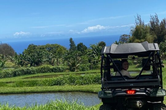 Ride Waipio on Horseback: Mountain to Ocean Working Cattle Ranch