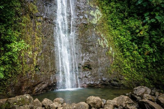 Waikiki Electric Bike Private Tour - Manoa Falls Bike and Hike