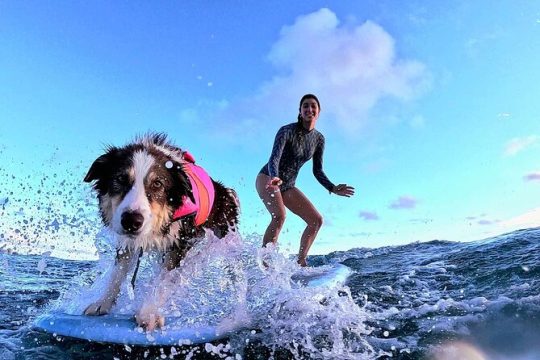 Private 1-on-1 Surfing Lesson with Videos and Photos