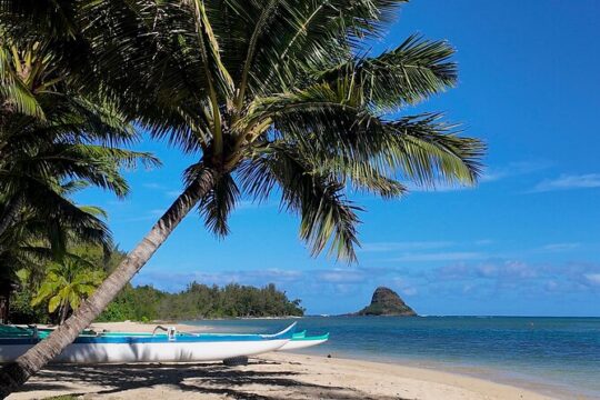 Private Circle Island Tour - Oahu