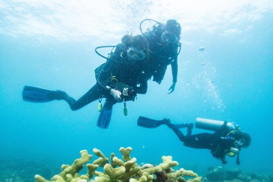 One Tank Scuba Diving in Kauai South Shore Certified Diver Only