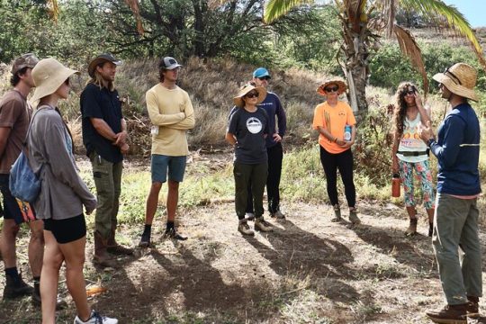 Work with Native Reforestation and Polynesian Agriculture in Maui