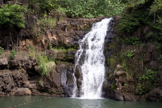 Best of North Oahu Tour in Waimea Valley