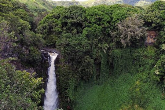 Road to Hana Full Day Tour with A Guide