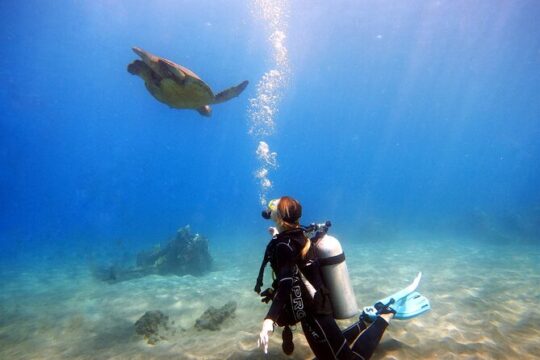 Scuba Diving in Maui with No Experience Needed