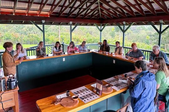 Big Island Hawaii Craft Chocolate Tasting and Farm Experience