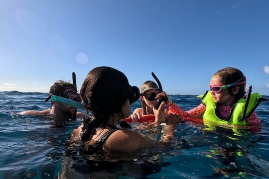 Private Snorkeling Cruise in Waikiki