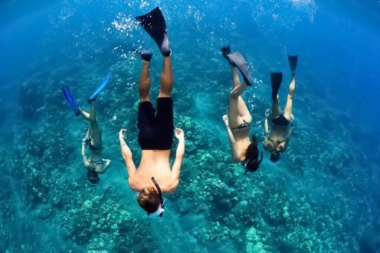 3 hours Koa Kai Maui Molokini Snorkel Adventure