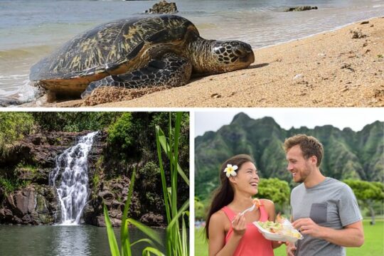 Private Family Tours, Oahu Hawaii