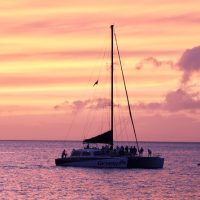 Cruises, Sailing & Water Tours