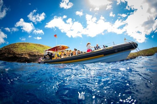 3 Hours Koa Kai Afternoon Snorkel Adventure in Maui