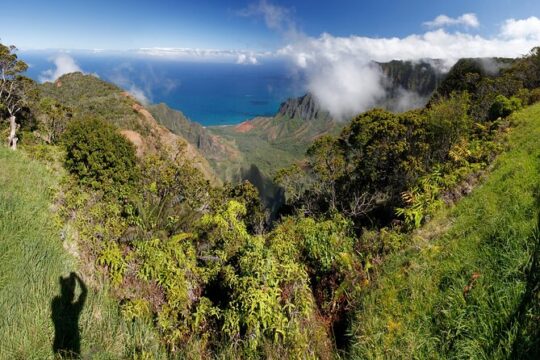 Shore Excursion Waimea Canyon Adventure Tour from Nawiliwili