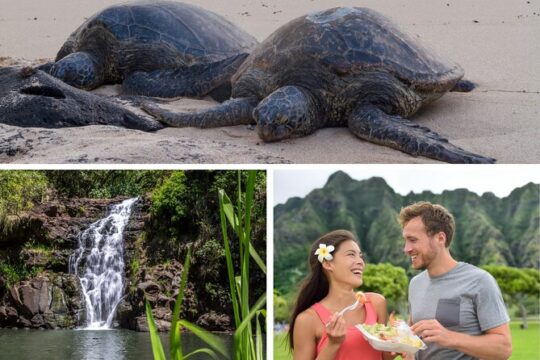 Hidden Adventures of Honolulu with Byodo-In Temple Private Tour