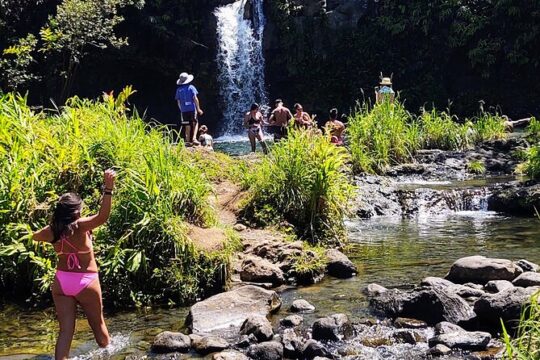 Halfway to Hana Private Tour Maui BlackBeach Waterfalls Turtles