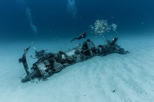 Certified Scuba Diving Experience in Honolulu