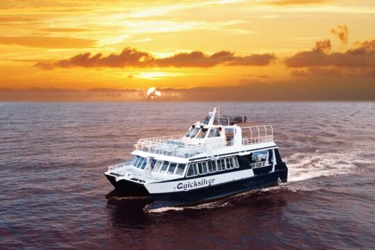 From Ma'alaea Harbor: Sunset Dinner Cruise Aboard the Quicksilver