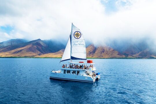 Coral Gardens Snorkeling Adventure in Maui