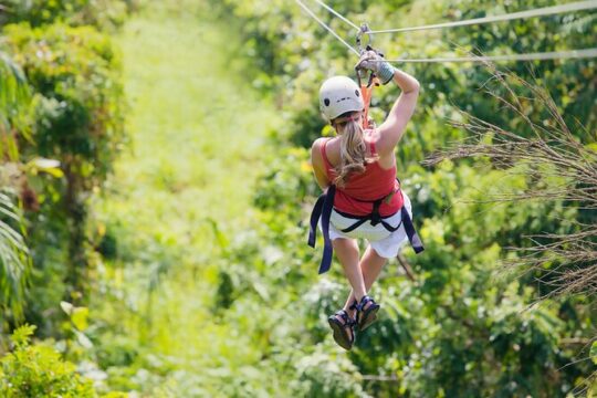 Private Tour Big Island Zipline over KoleKole Falls