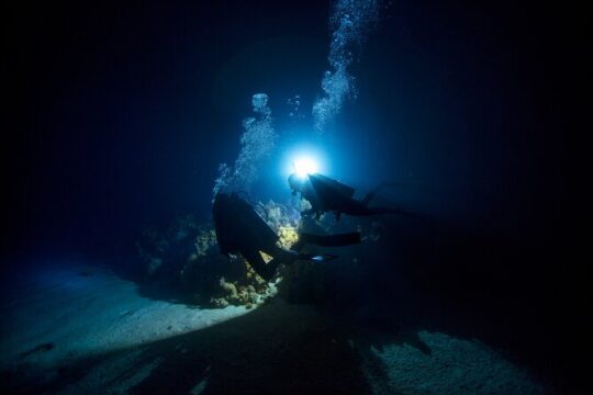 Night Dive Adventure in Oahu