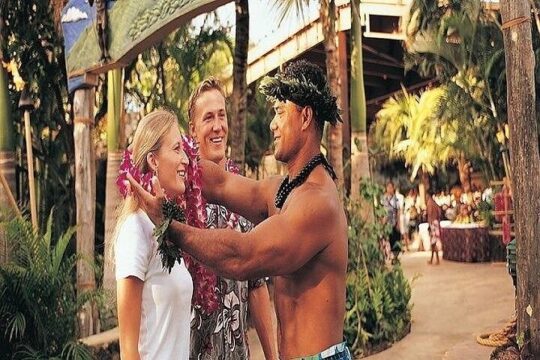 Pearl Harbor, Dole Plantation, & Polynesian Center Tour from Kona