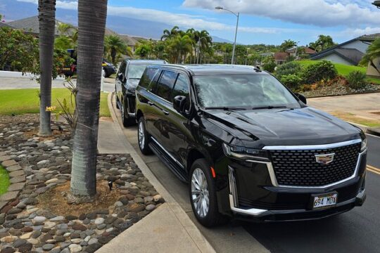 Private Road to Hana Tour In Cadillac Escalade with Hotel Pickup