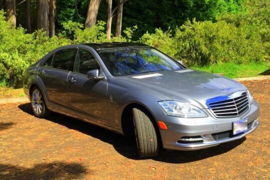 Private Tour on Maui with Luxury Mercedes S-Class