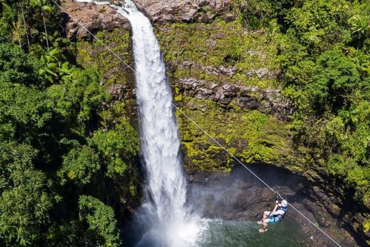 Hilo Shore Excursion and Zipline Adventure