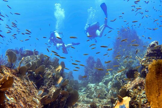 SCUBA Diving in Kauai; A Beginner Friendly Experience