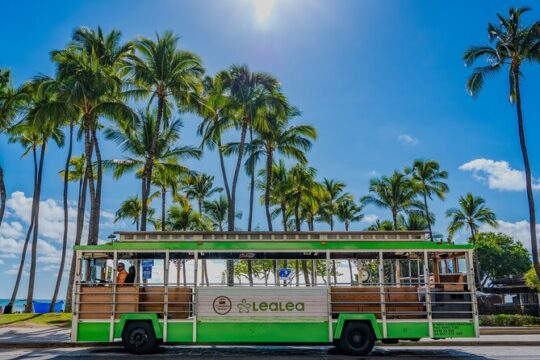 LeaLea Trolley 7 Line and Waikiki Trolley Pink Line Pass