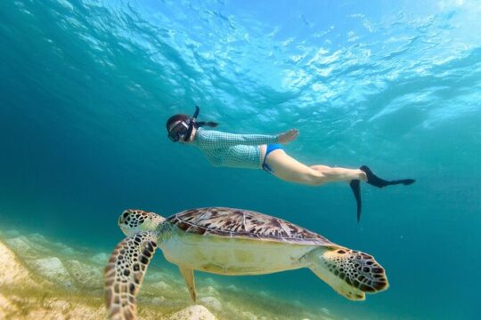 [Oceanstar] Waikiki Turtle Canyon Snorkeling Adventure