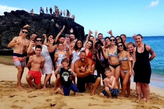 Full-Day Oahu Tour by Bus