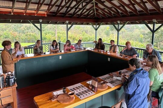 History Of Chocolate and 10 Bar Hawaiian Craft Chocolate Tasting