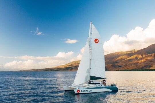 Morning Sail With the Whales Ma'alaea