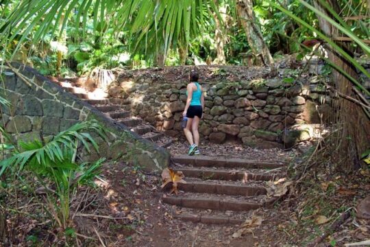 Ancient Oahu Circle Island Tour From Waikiki