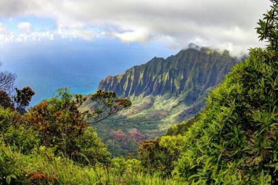 Waimea Canyon Private Guided Tour from Lihue and Kapaa