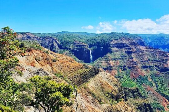 Waimea Canyon Private Guided Tour from Koloa/Poipu