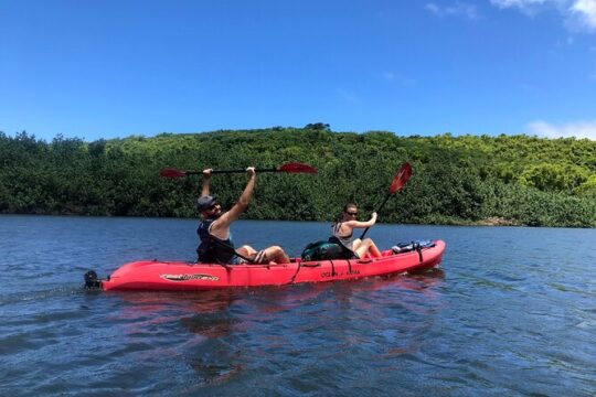 Kayak Rentals in Kauai