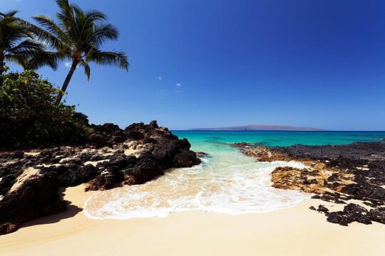 Private South & West Maui Beaches Tour