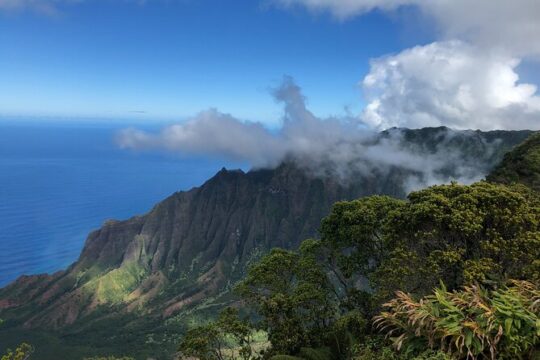 Private Group Tour Waimea Canyon Adventure