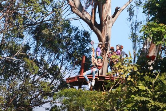 Shore Excursion Zipline Tour for Pride Of America Passengers