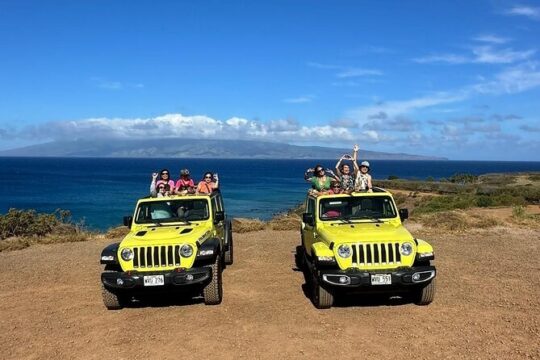 West Maui Coastline Open-Air Jeep Tour