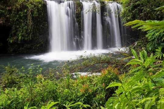 Private Road to Hana Rainforest & Waterfall Experience from Maui