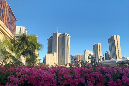 Honolulu Scavenger Hunt and Highlights Self-Guided Tour