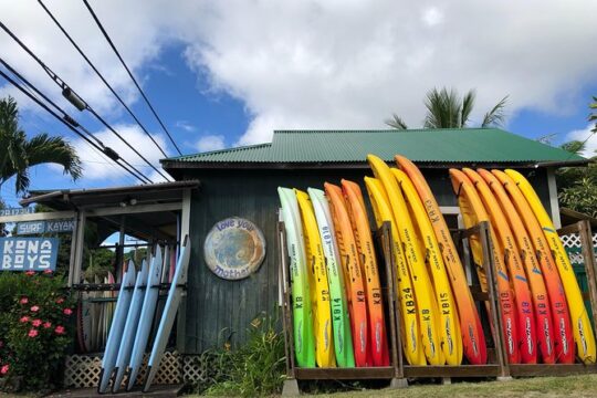 Midday Meander - Kealakekua Bay Kayak and Snorkel Adventure