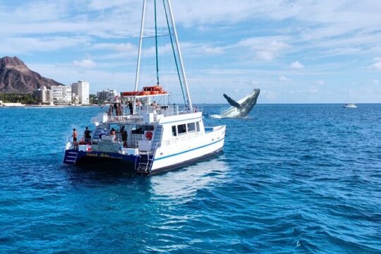 Glass Bottom Boat Whale Watching Tour